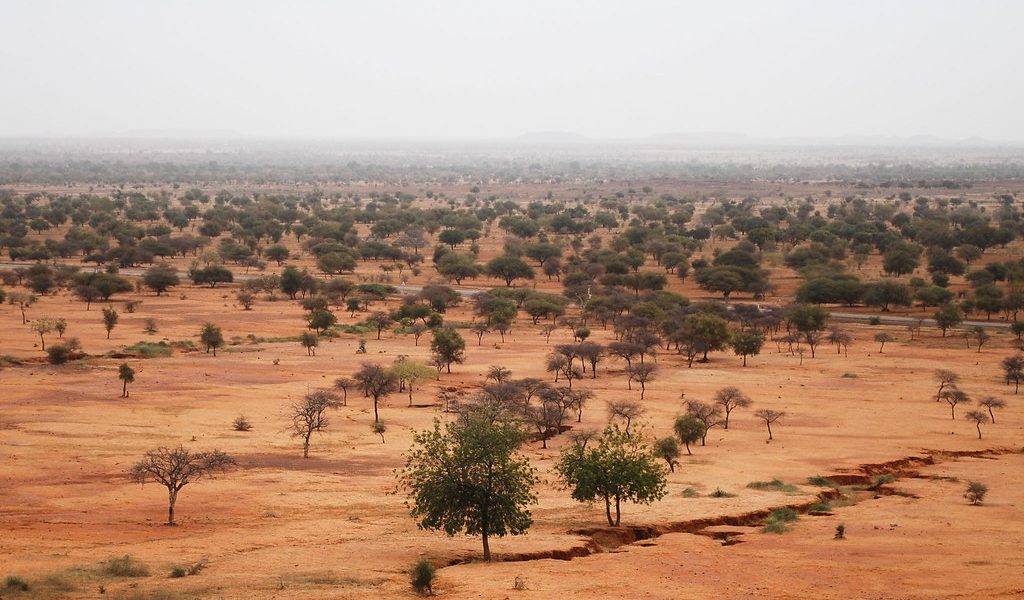 The Sahel