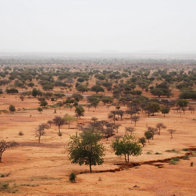 The Sahel