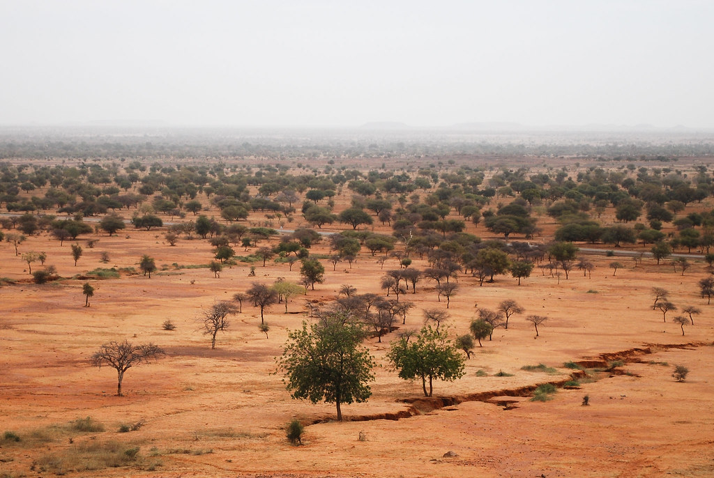 The Sahel