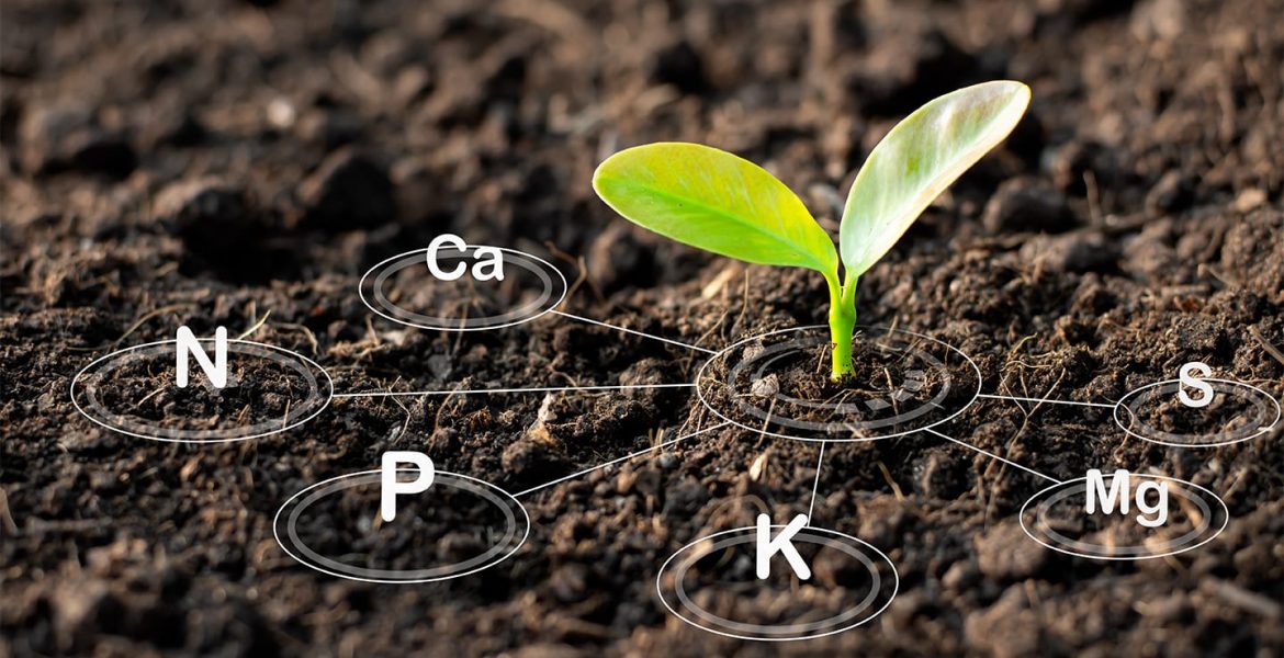 Soil Health