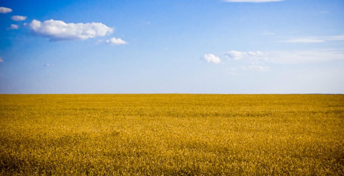 Ukraine cereal crops