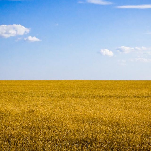 Ukraine cereal crops