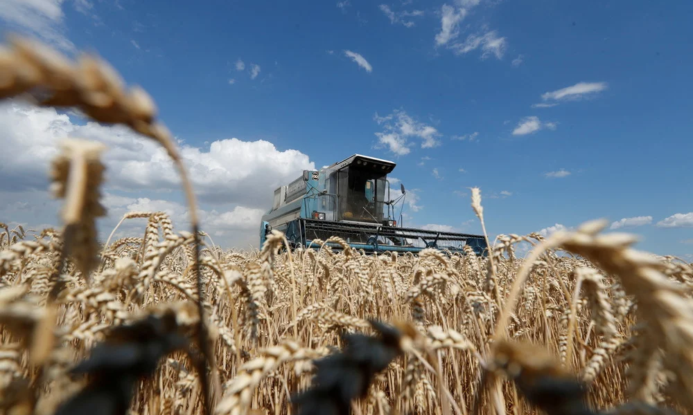 global food crisis