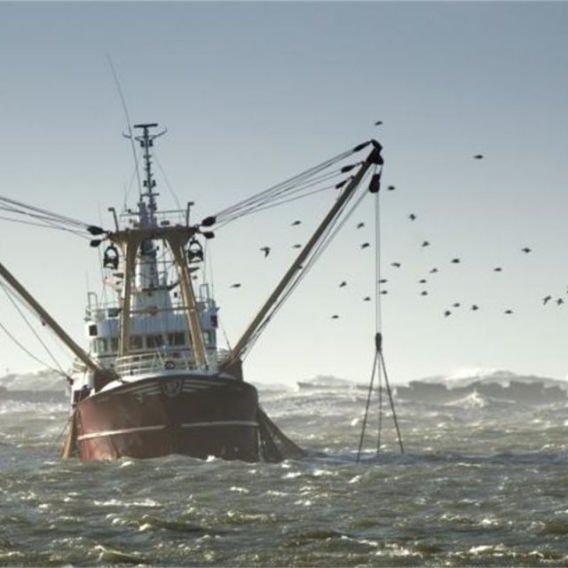 EU Fisheries Policy