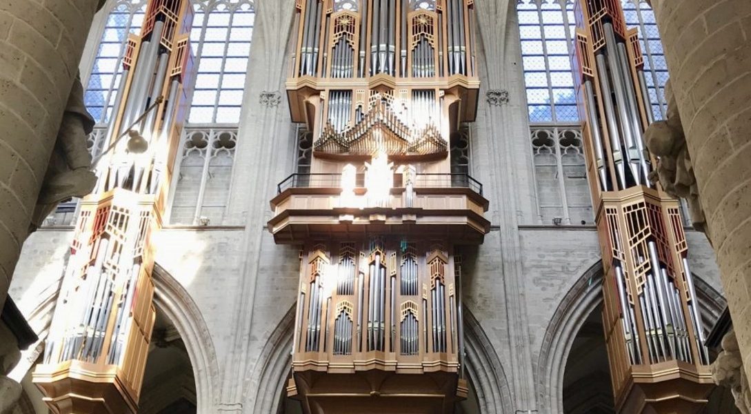 Cathedral Organ