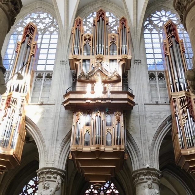 Cathedral Organ