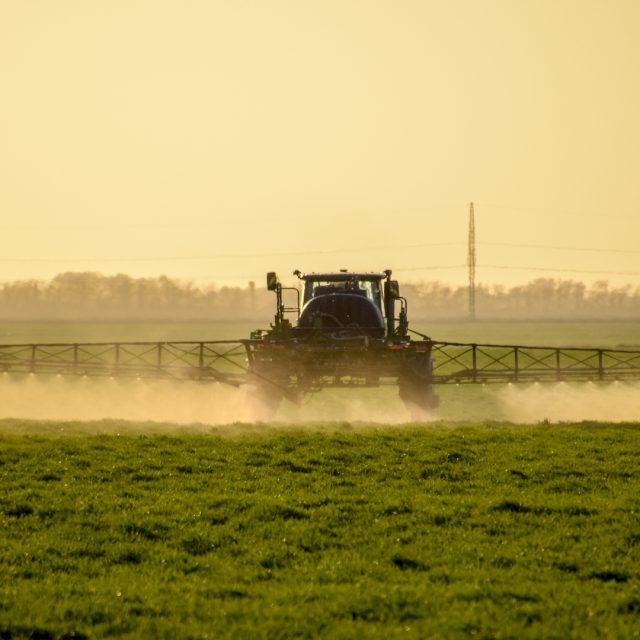 Glyphosate