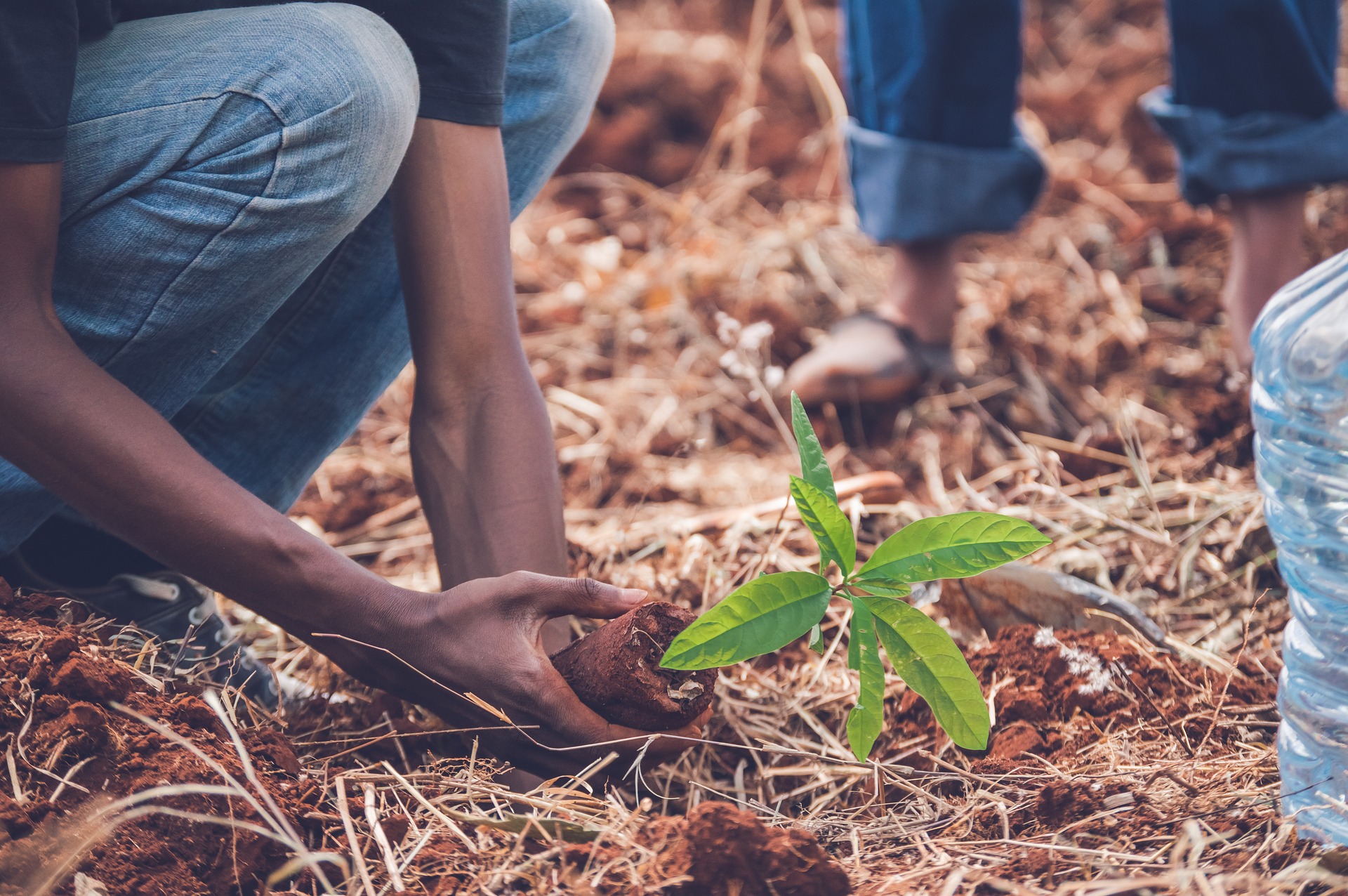 Climate change action