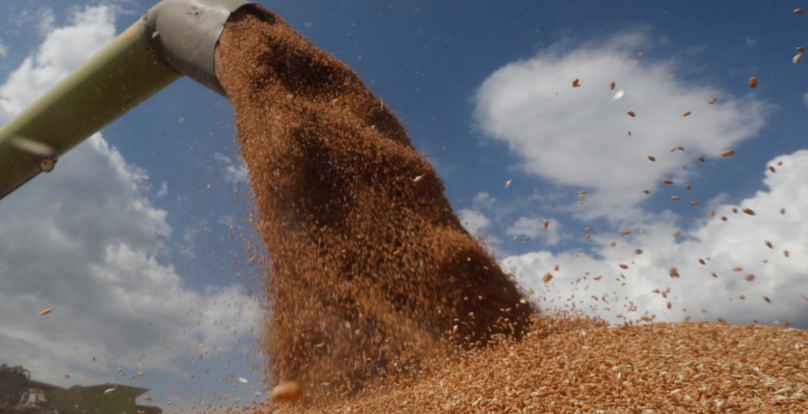 Russia stealing Ukrainian Grains