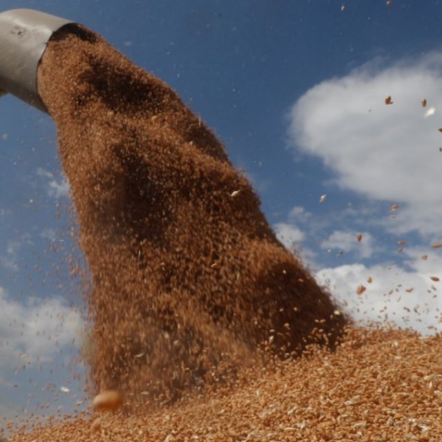 Russia stealing Ukrainian Grains