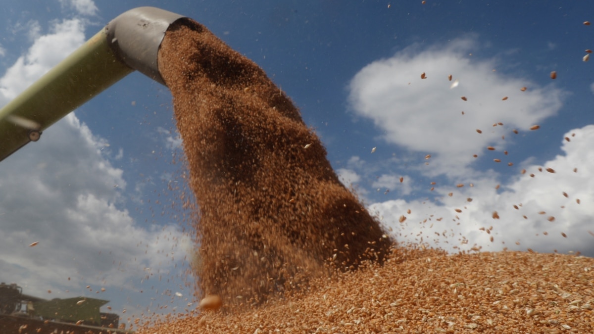 Russia stealing Ukrainian Grains