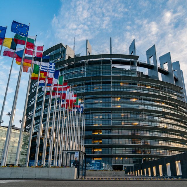 European Parliament