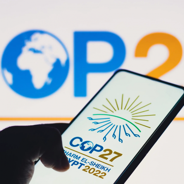 COP 27