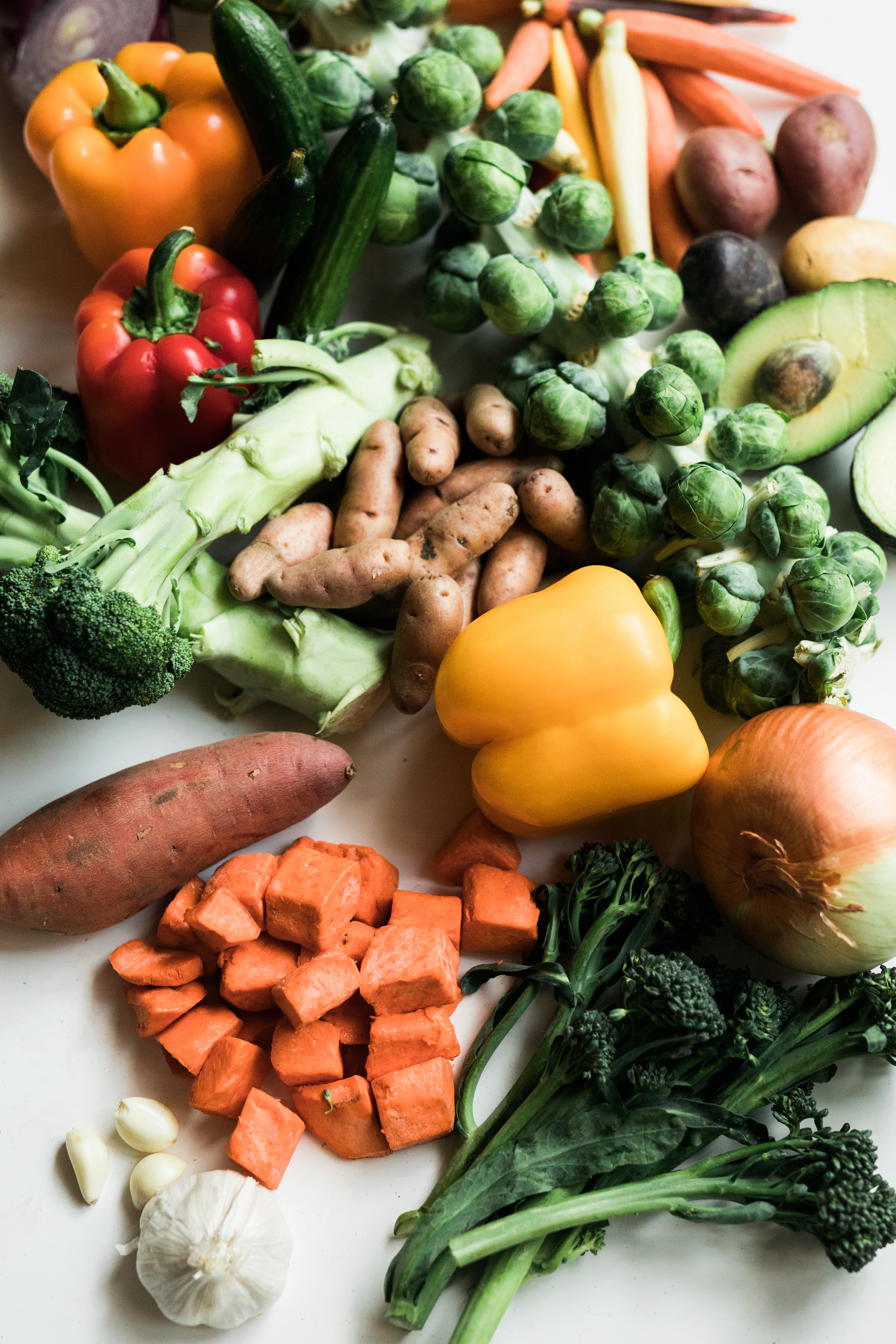 Members of the European Parliament have been accused of “downplaying” the need to drastically change eating habits at schools. Euro deputies are also accused of failing to agree that plant-based milks and pulses must be part of an EU-funded healthy eating scheme. The attack was made by Compassion in World Farming EU, a Brussels based group that campaigns for animal welfare. Its head Olga Kilou told this site: “MEPs have voted to downplay the drastic change we need to see with our diets.” She added, “We can’t have our kids overeat on animal products in school, and then expect them to grow up with healthy eating habits and live within the planetary boundaries, in a planet that is already burning.” Kikou went on, “If schools were to continue to fail with this education, school canteens should at least give students the choice of plant-based meals and milks. MEPs now failed to recognise even this need. “The bar is obviously quite low in the Agriculture Committee. We can only hope the rest of the Parliament will be more ambitious when they vote on the file later this year.” In their recommendations on how the EU should change its funding for school meals, which were adopted on 22 March, the Parliament’s Agriculture Committee is said by the group to have “not only failed to acknowledge the need for plant-based meals and milks – it even stated that there should be educational campaigns to promote milk and dairy products.” The group, in a statement, added, “In light of the climate emergency and our diets heavy on animal protein, it is mind-boggling that such a position was adopted.” The European Commission is currently reviewing the EU scheme that supports the distribution of fruit, vegetables, milk and certain milk products to schoolchildren, from nursery to secondary school. As part of the process, CWF called on the EU to revise the scheme in order to shift dietary habits towards healthier and “more sustainable foods and engrain these dietary habits in future generations.” It says, “The position of the European Parliament’s Agriculture Committee, however, does not go far enough for the EU to reform our food systems, as outlined in the Farm to Fork Strategy and the European Green Deal.” CWF campaigns for farm animal welfare and sustainable food and farming. With over one million supporters,it has representatives in 11 European countries, the U.S., China and South Africa.