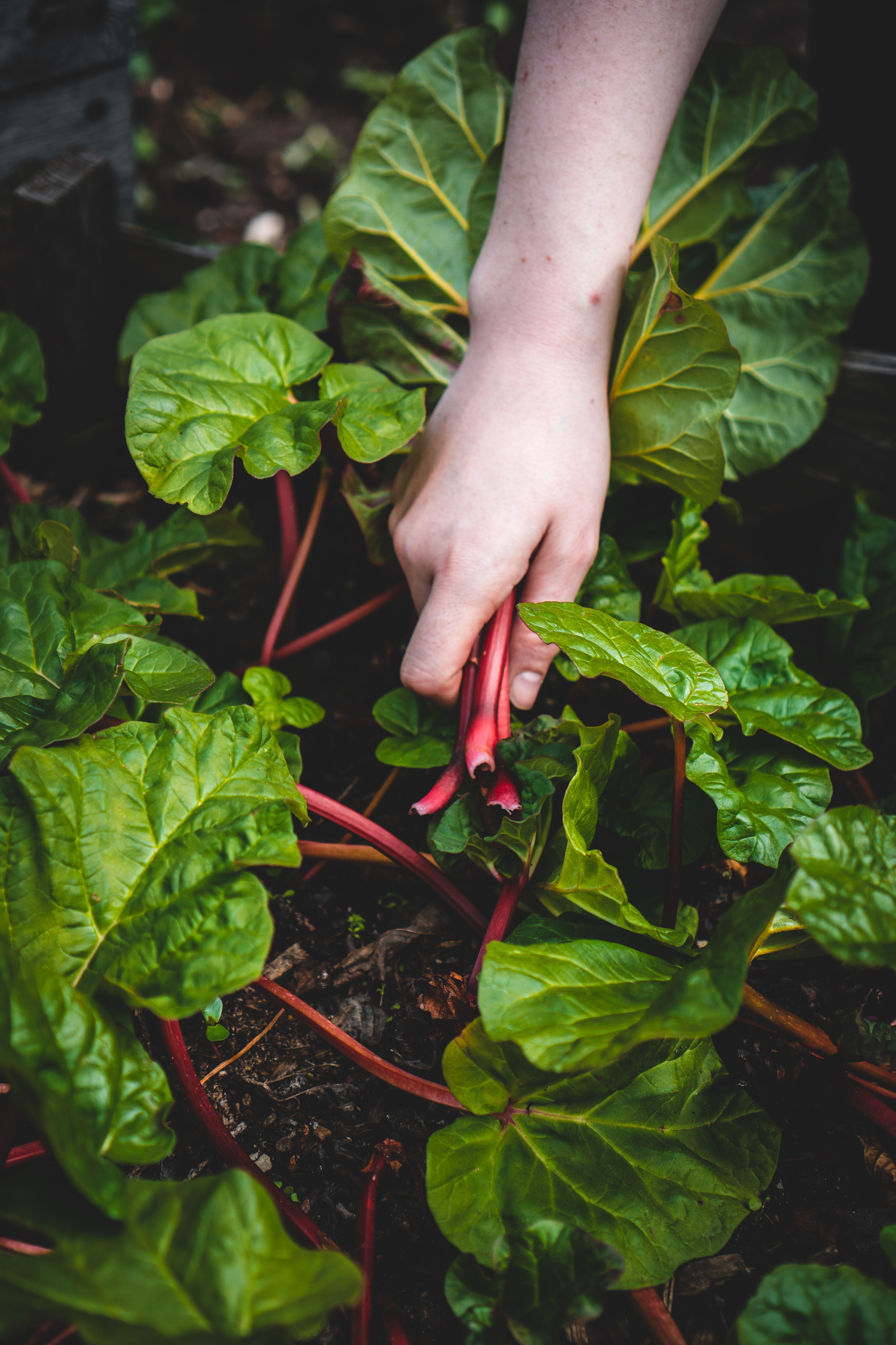 Photo by Jonathan Kemper on Unsplash