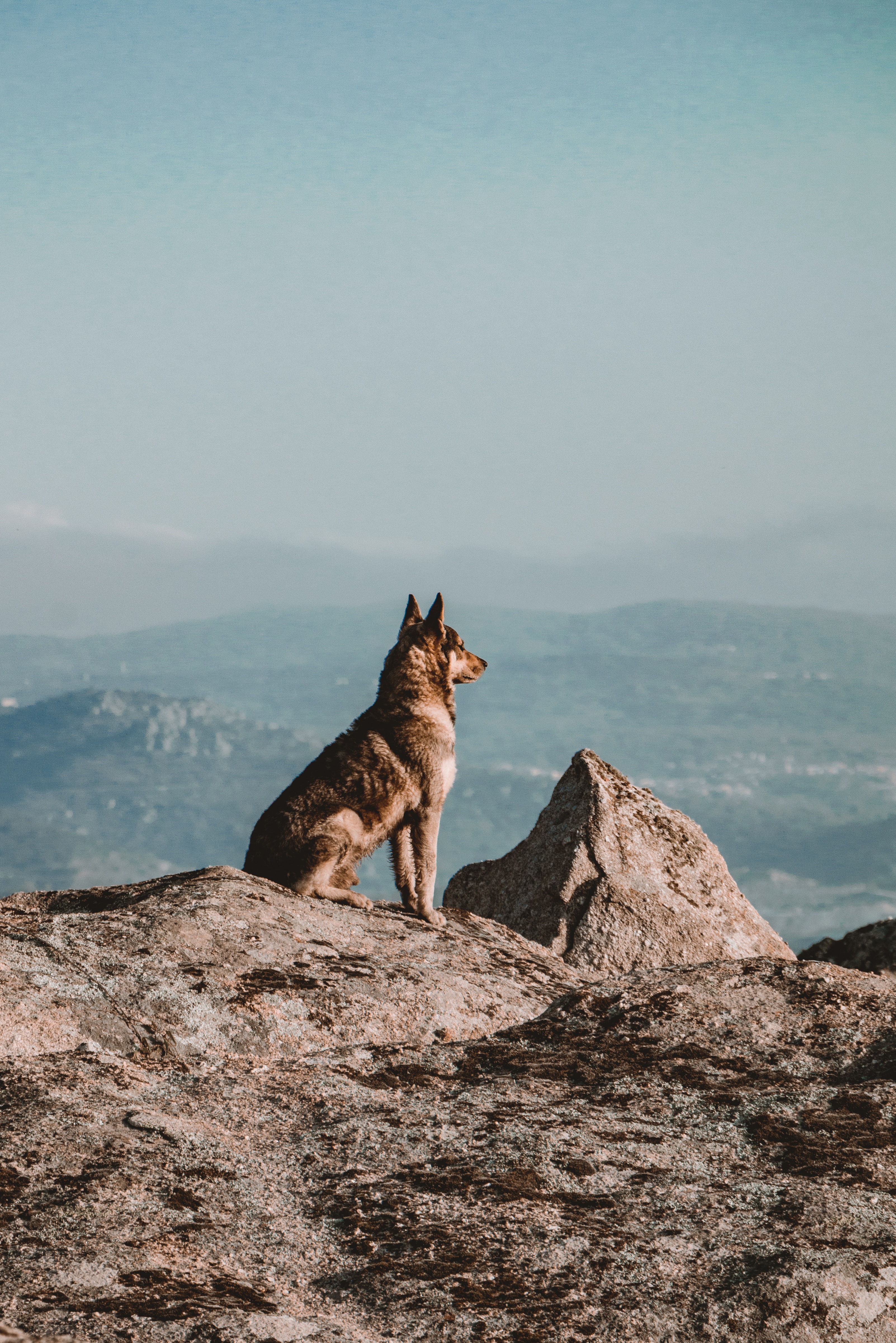 Photo by Gian Luca Pilia on Unsplash