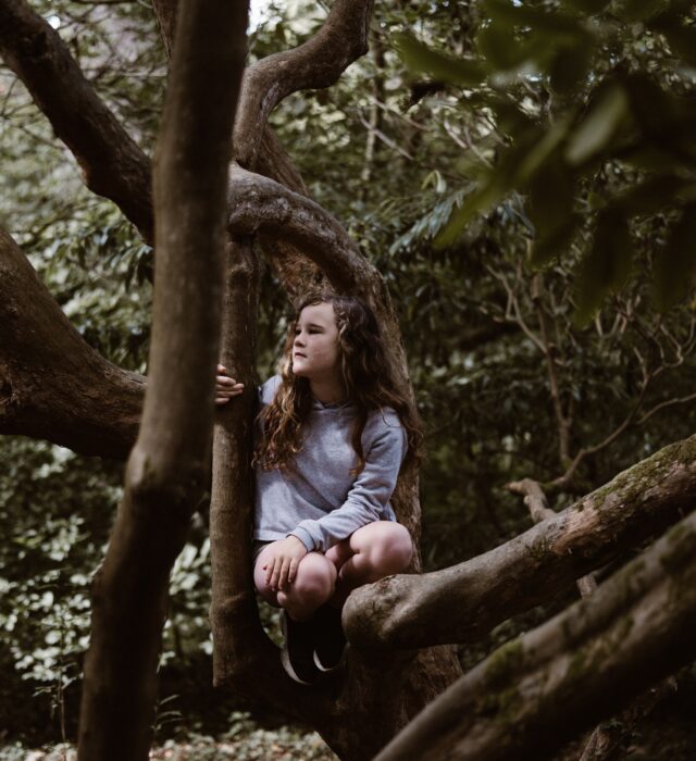 Photo by Annie Spratt on Unsplash