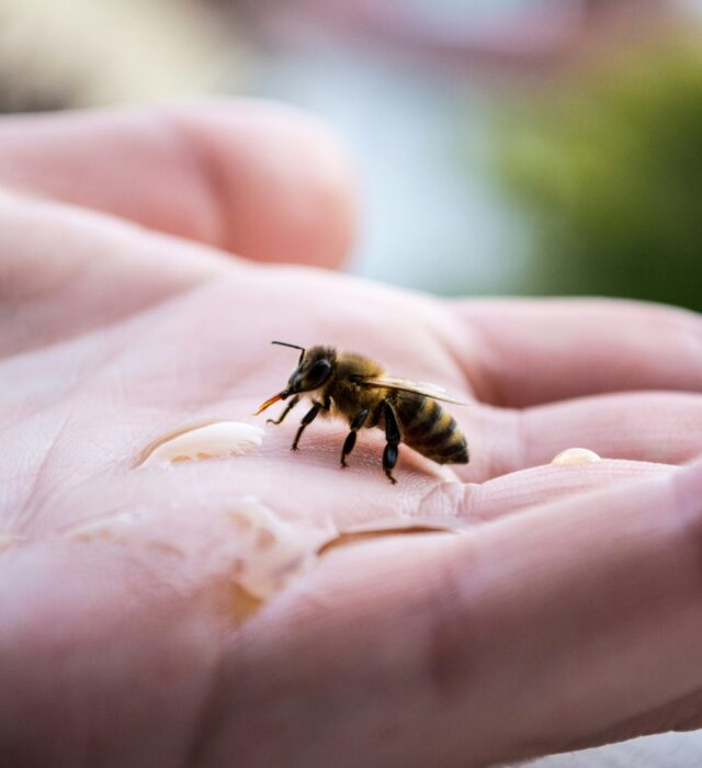 Photo by Fabian Kleiser on Unsplash