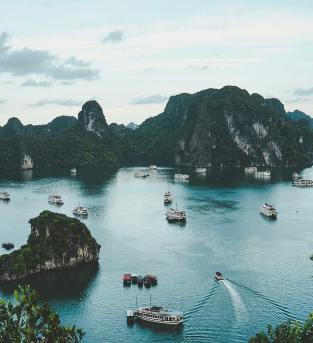 Photo by Ammie Ngo on Unsplash