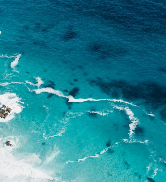 Photo by samsommer on Unsplash