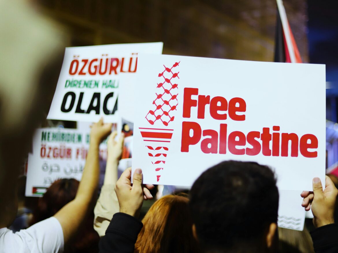 Credit photo İsra Nilgün Özkan on Pexels